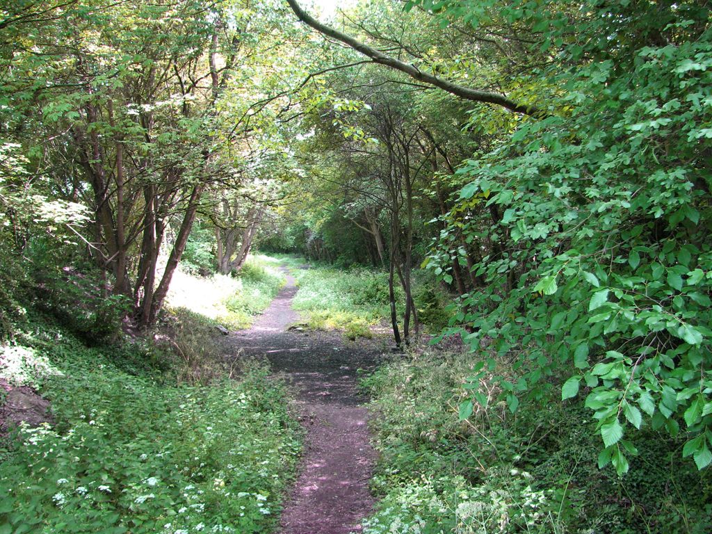Path from Fen Ditton